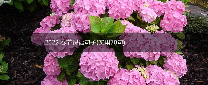 2022 春节祝福句子(实用70句),第1张
