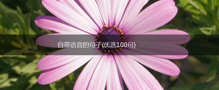 自带语音的句子(优选100句),第1张