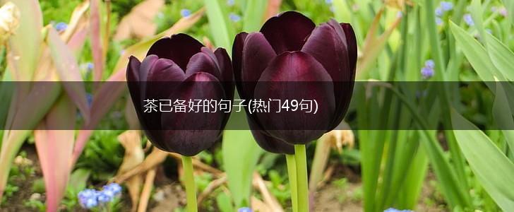 茶已备好的句子(热门49句),第1张