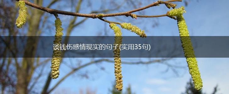 谈钱伤感情现实的句子(实用35句),第1张