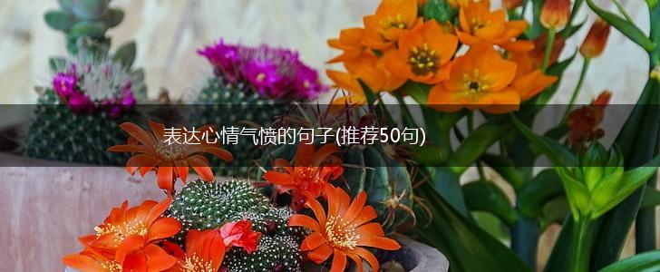 表达心情气愤的句子(推荐50句),第1张