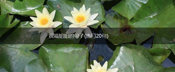 祝福姐姐的句子(热门20句),第1张