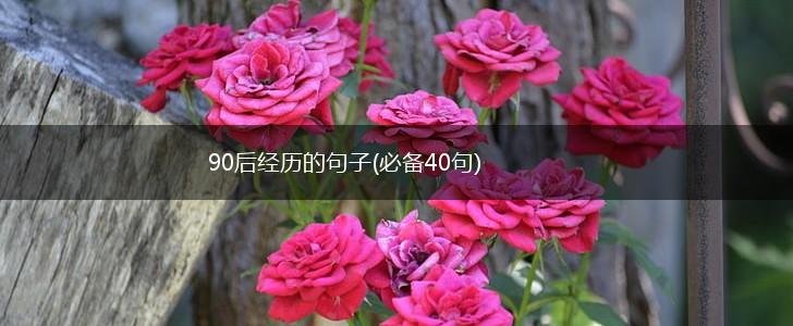 90后经历的句子(必备40句),第1张