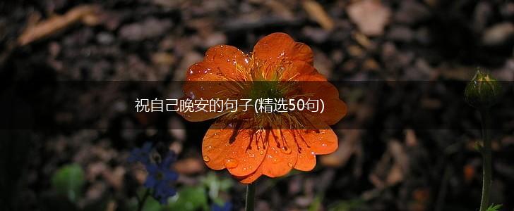 祝自己晚安的句子(精选50句),第1张