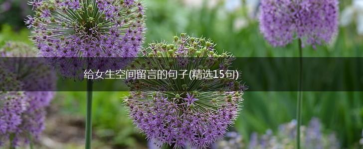 给女生空间留言的句子(精选15句),第1张
