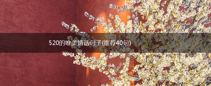 520的唯美情话句子(推荐40句),第1张