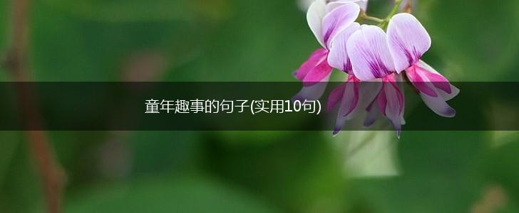 童年趣事的句子(实用10句),第1张