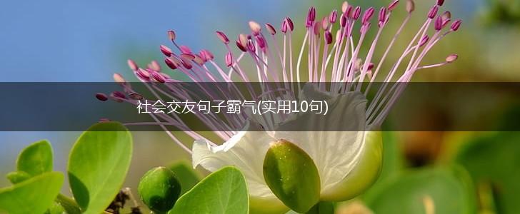 社会交友句子霸气(实用10句),第1张