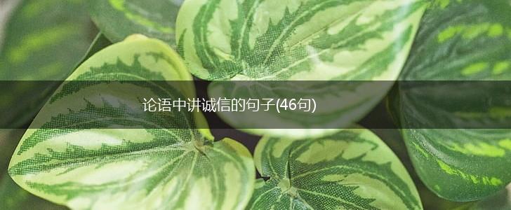 论语中讲诚信的句子(46句),第1张