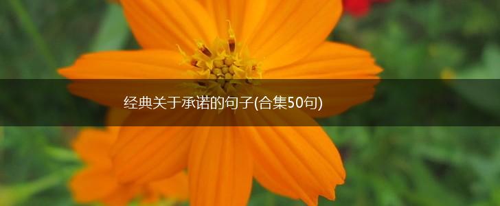 经典关于承诺的句子(合集50句),第1张