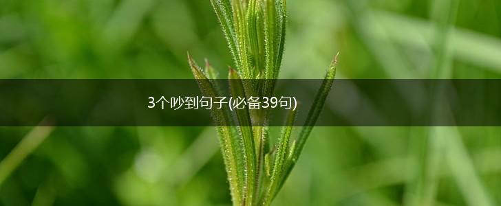 3个吵到句子(必备39句),第1张
