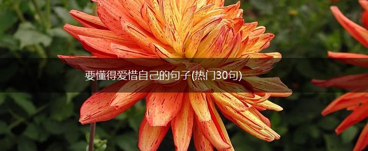 要懂得爱惜自己的句子(热门30句),第1张