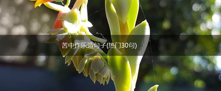 苦中作乐造句子(热门30句),第1张