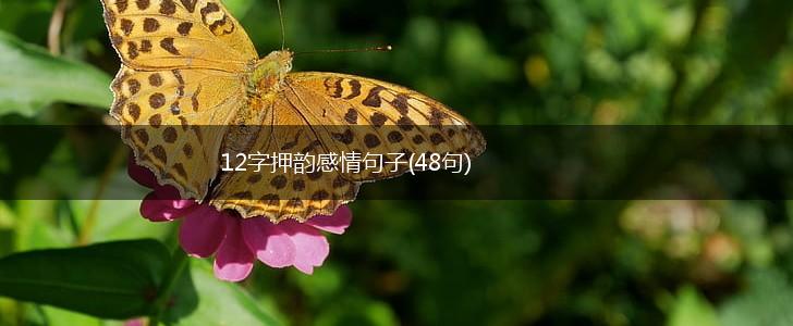 12字押韵感情句子(48句),第1张