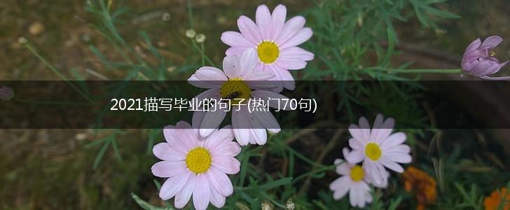 2021描写毕业的句子(热门70句),第1张