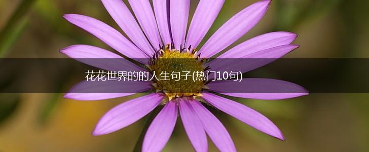 花花世界的的人生句子(热门10句),第1张