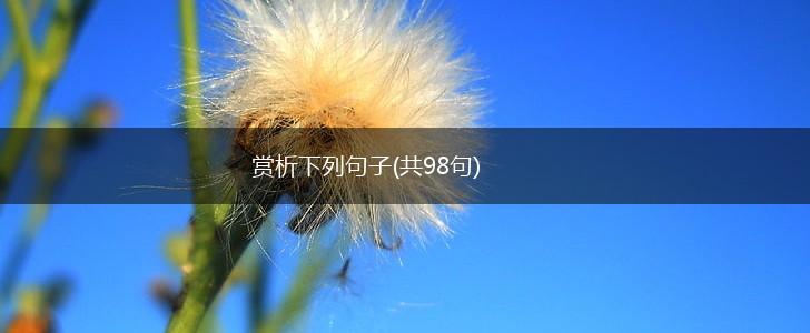 赏析下列句子(共98句),第1张