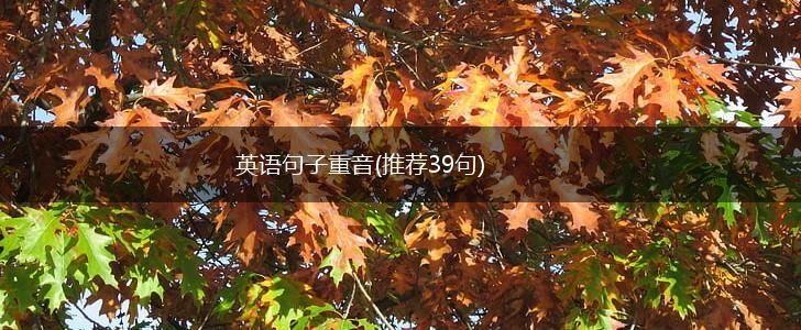 英语句子重音(推荐39句),第1张