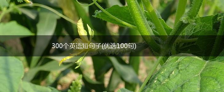 300个英语短句子(优选100句),第1张