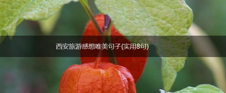 西安旅游感想唯美句子(实用8句),第1张