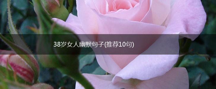 38岁女人幽默句子(推荐10句),第1张