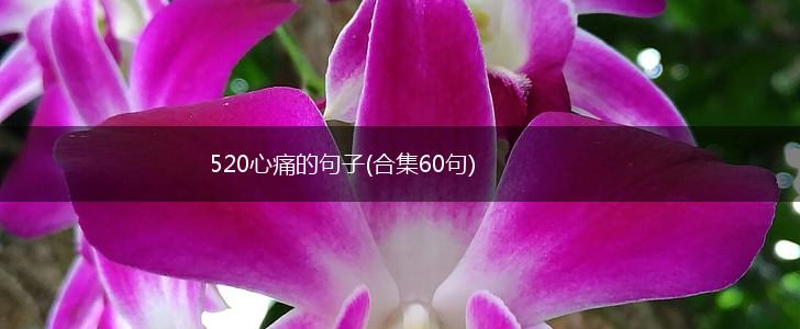 520心痛的句子(合集60句),第1张