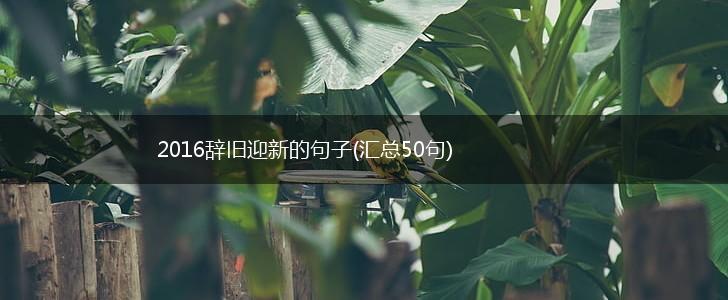 2016辞旧迎新的句子(汇总50句),第1张