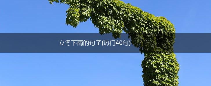 立冬下雨的句子(热门40句),第1张