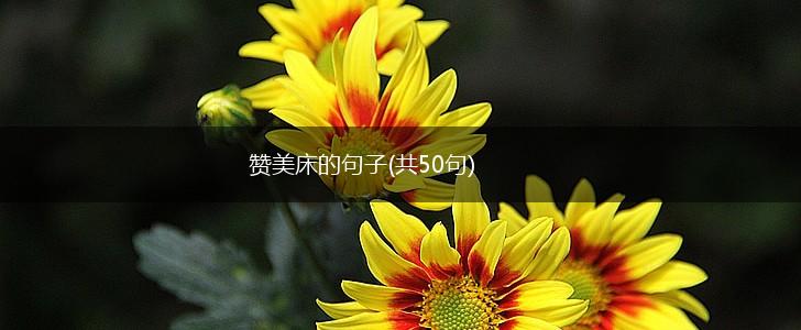 赞美床的句子(共50句),第1张