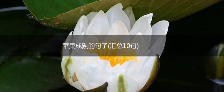苹果成熟的句子(汇总10句),第1张
