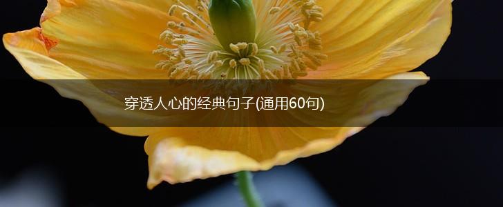 穿透人心的经典句子(通用60句),第1张