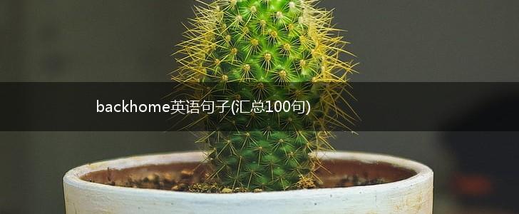 backhome英语句子(汇总100句),第1张