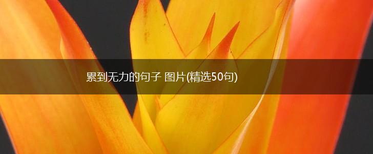 累到无力的句子 图片(精选50句),第1张