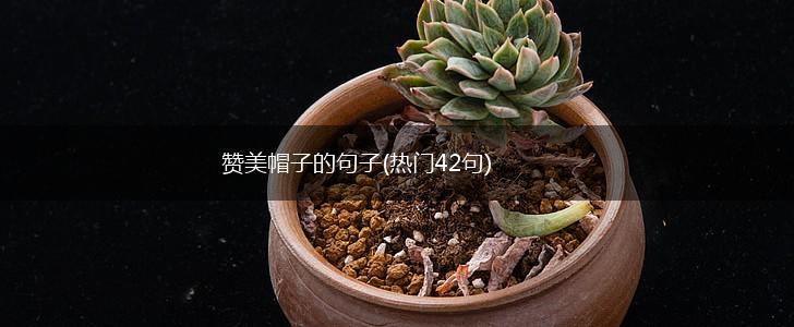 赞美帽子的句子(热门42句),第1张