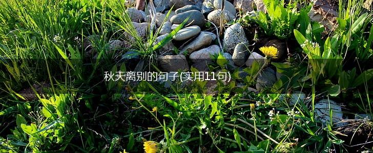 秋天离别的句子(实用11句),第1张