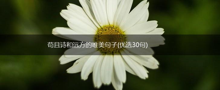 苟且诗和远方的唯美句子(优选30句),第1张