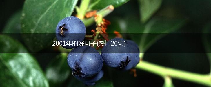 2001年的好句子(热门20句),第1张