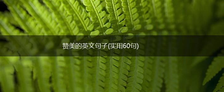 赞美的英文句子(实用60句),第1张