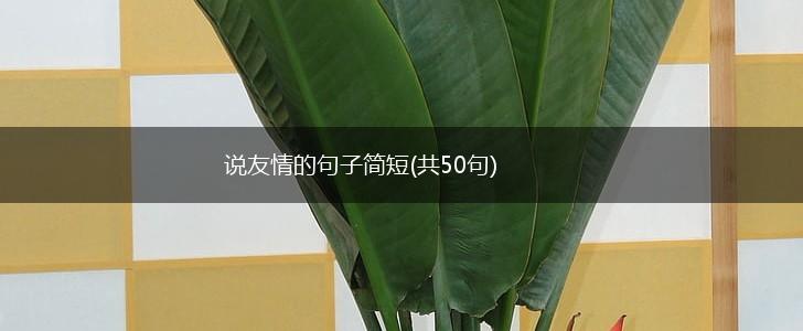 说友情的句子简短(共50句),第1张
