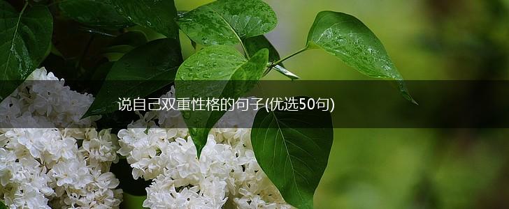 说自己双重性格的句子(优选50句),第1张