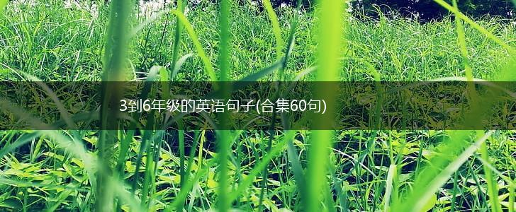 3到6年级的英语句子(合集60句),第1张
