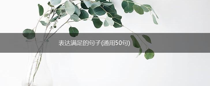 表达满足的句子(通用50句),第1张