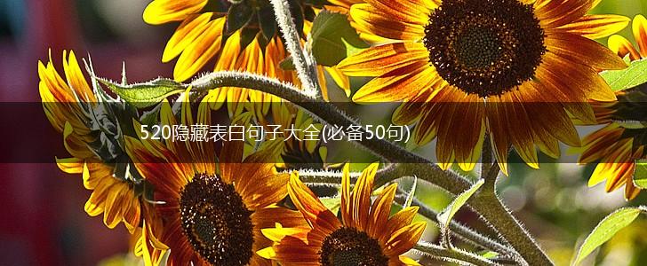 520隐藏表白句子大全(必备50句),第1张