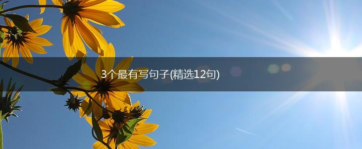 3个最有写句子(精选12句),第1张