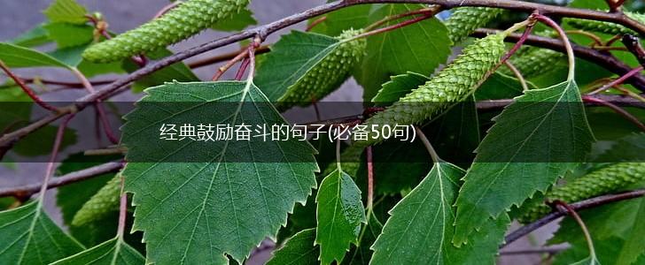 经典鼓励奋斗的句子(必备50句),第1张