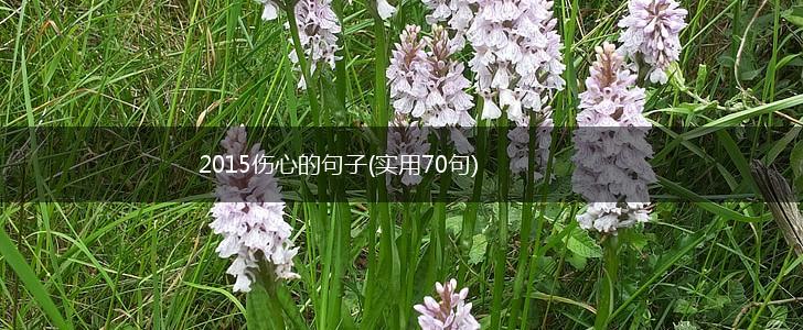 2015伤心的句子(实用70句),第1张