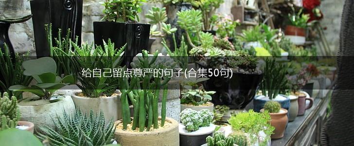 给自己留点尊严的句子(合集50句),第1张