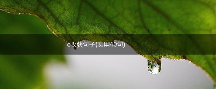 c收获句子(实用40句),第1张