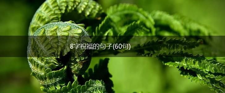 8字祝福的句子(60句),第1张