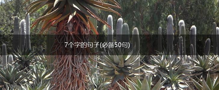 7个字的句子(必备50句),第1张